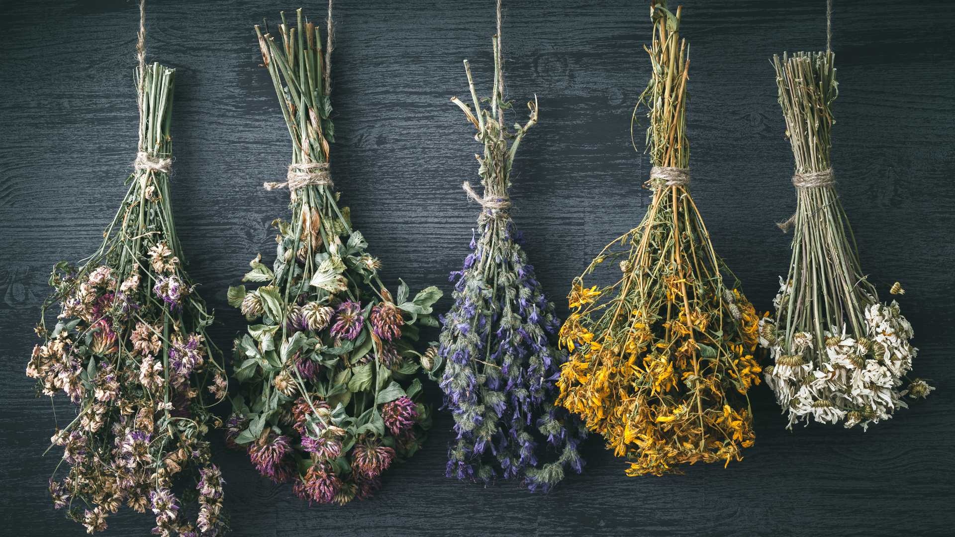 IDEAS DE DECORACIÓN CON FLORES SECAS