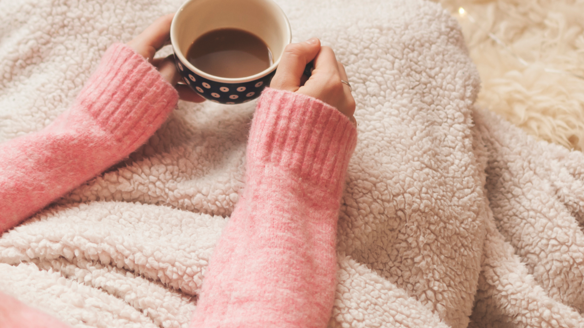 SHERPA: TU MEJOR ALIADO PARA ESTE INVIERNO