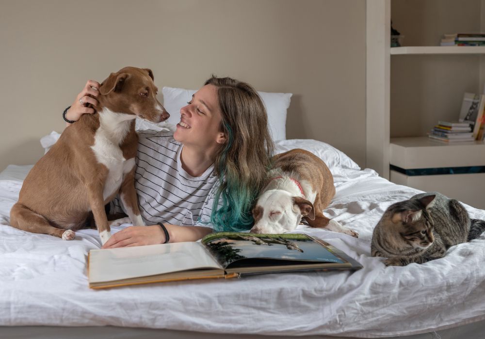 Tips Y Consejos Para Subir A La Cama A Tus Mascotas.