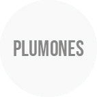 Plumones